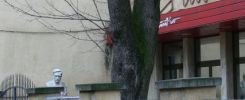 Teatrul Studio